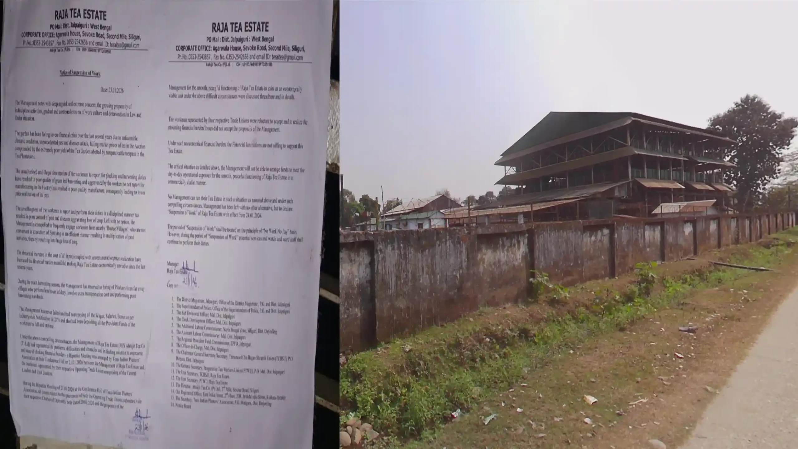Raja Tea Estate Closed: Management Announces Suspension of Operations, Cites Financial and Operational Challenges