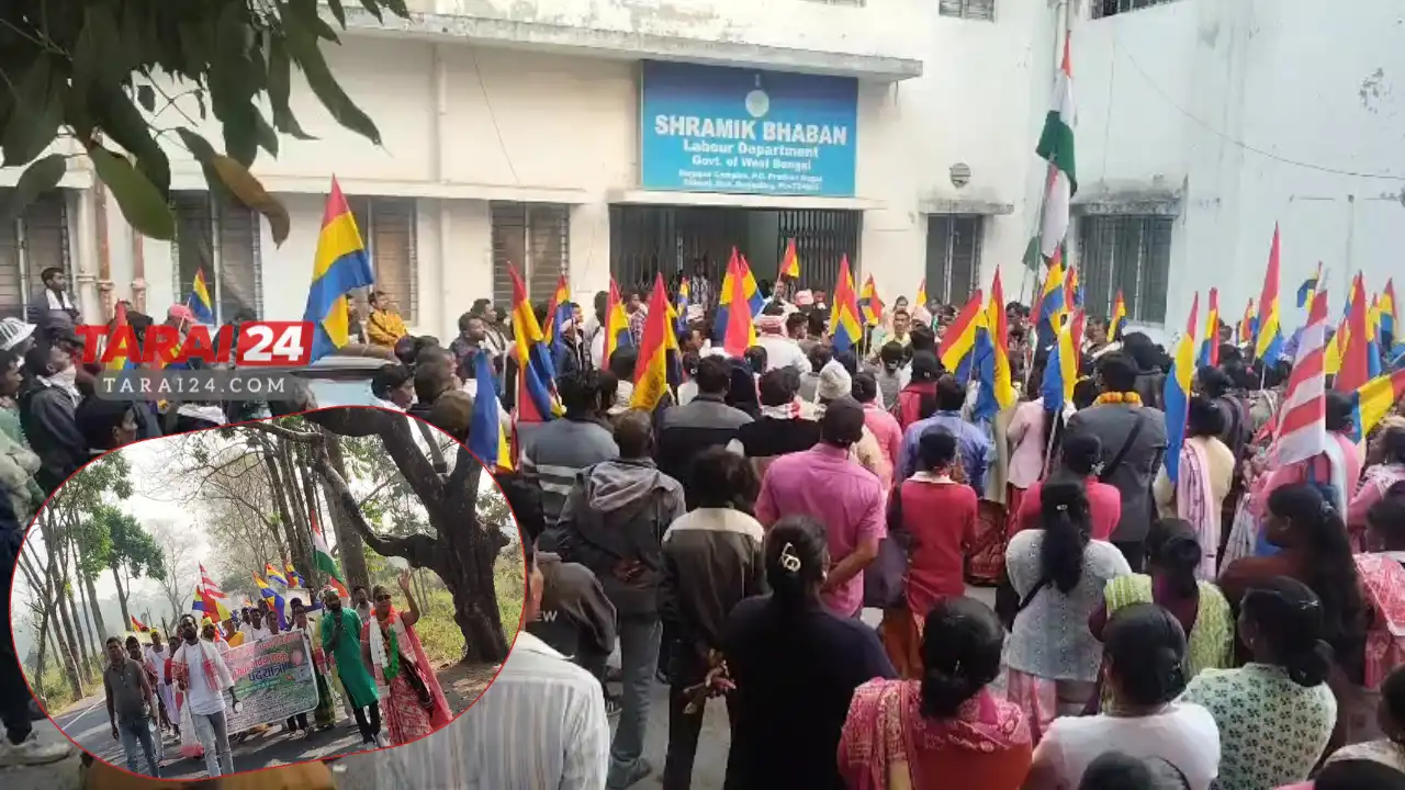 Tea Workers Conclude ‘Padayatra’ in Siliguri; Demand Land Rights and Minimum Wage Before Elections