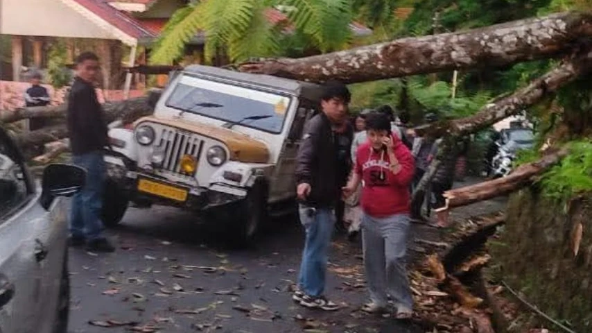 Sikkim: 1 Dead, 3 Injured After Passenger Vehicle Crushed in Pakyong as Severe Thunderstorms Uproot Trees