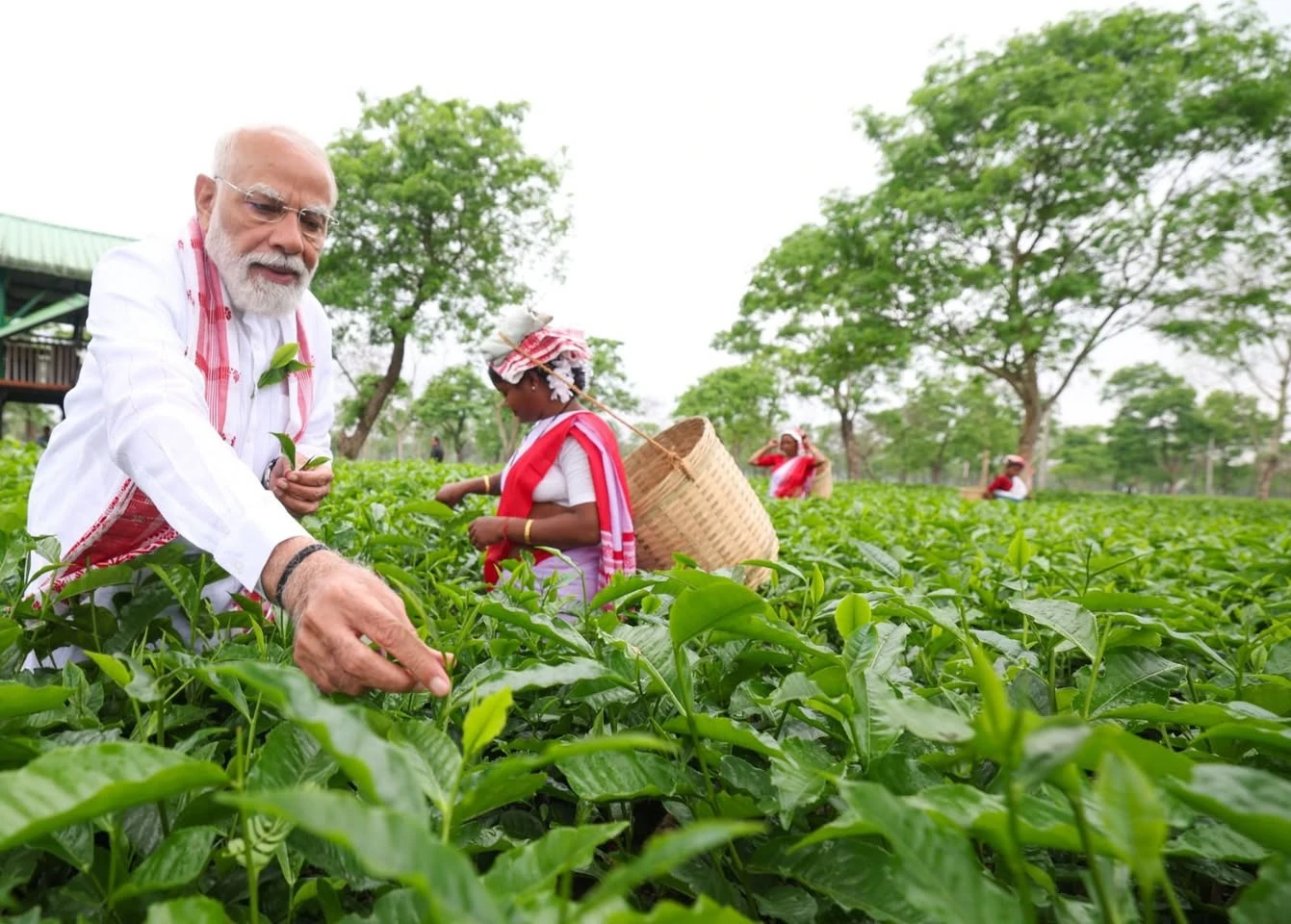 PM Modi Visits Tea Garden in Dibrugarh, Interacts with Women Workers